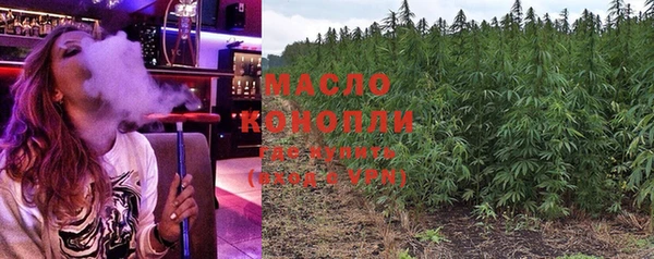 apvp Ельня