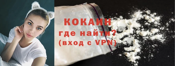 apvp Ельня