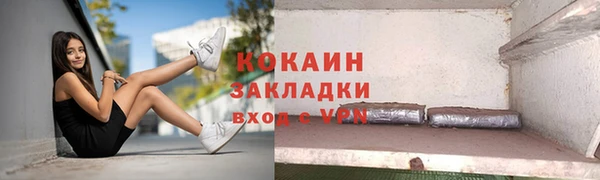 apvp Ельня