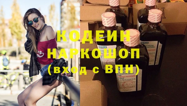 apvp Ельня