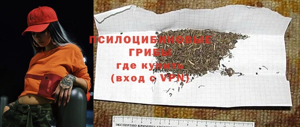 apvp Ельня