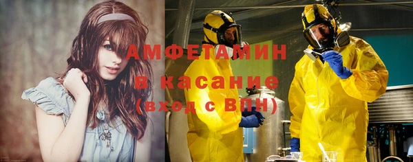 apvp Ельня