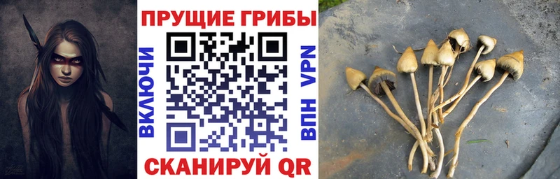 Псилоцибиновые грибы прущие грибы Купить закладки Кирс